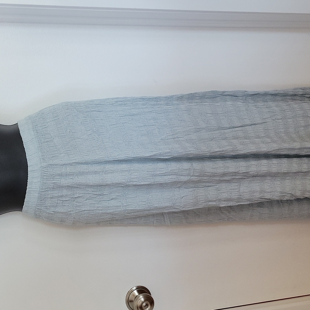Beautiful C. P. Shades Long Skirt